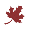 leaf icon
