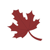 leaf icon